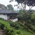 Hotel Talari