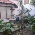 Hotel Tren Dorado