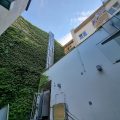 Hotel V Raji