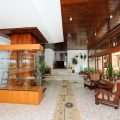 Hotel Vedea