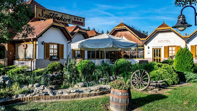 Hotel Vineyard Inn in Nagykanizsa, Hungary