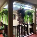 Hotel Yaragua
