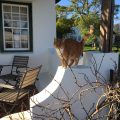 Jacaranda Wine And Guestfarm