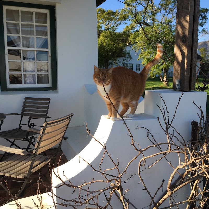 Jacaranda Wine And Guestfarm in Wellington, South Africa