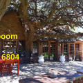 Kameelboom Lodge