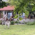 Khululeka Lodge