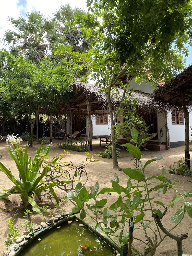 Kite Garden in Puttalam, Sri Lanka