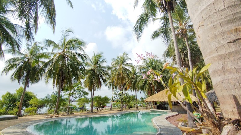 Kitelantis in Puttalam, Sri Lanka