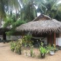 Kitesurfing Kalpitiya Resort