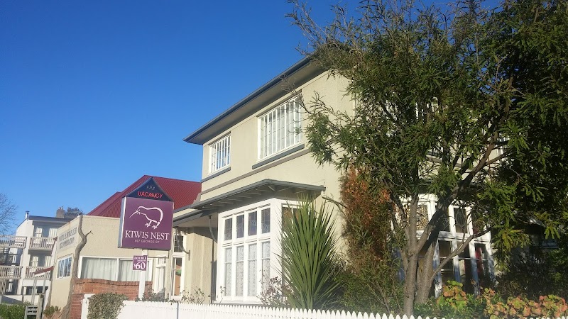 Kiwis Nest in Dunedin, New Zealand