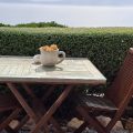 Kleinzee Oceanfront Guesthouse