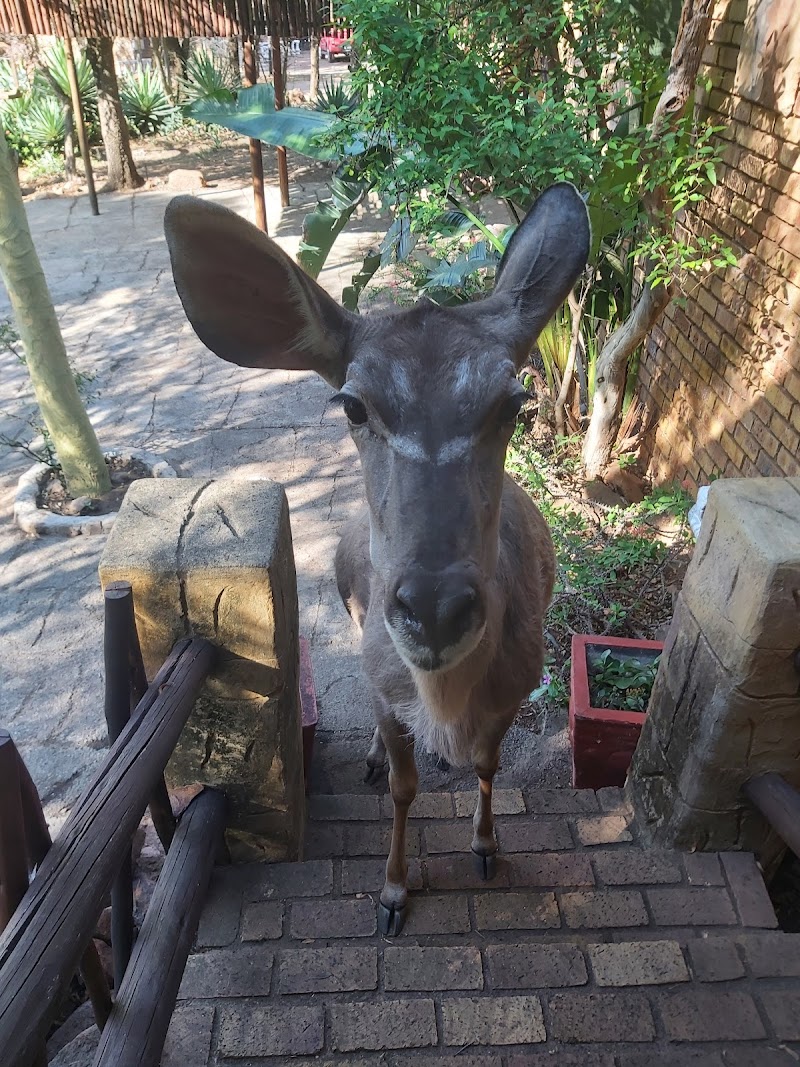 Leeupoort Guest House in Thabazimbi, South Africa