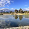 Lemberg Wine Estate