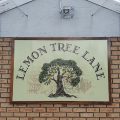 Lemon Tree Lane