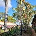 Lingadzi Inn