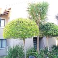 Linkside 2 Guest House