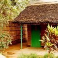Mabuya Camp