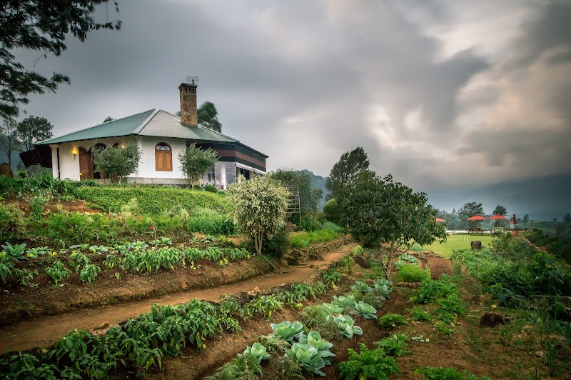 Madulkelle Tea and Eco Lodge in Kandy, Sri Lanka