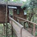 Magoebaskloof Adventures Chalets