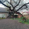Mahudzi Guest House