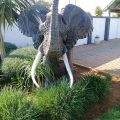 Marang Gardens Lodge