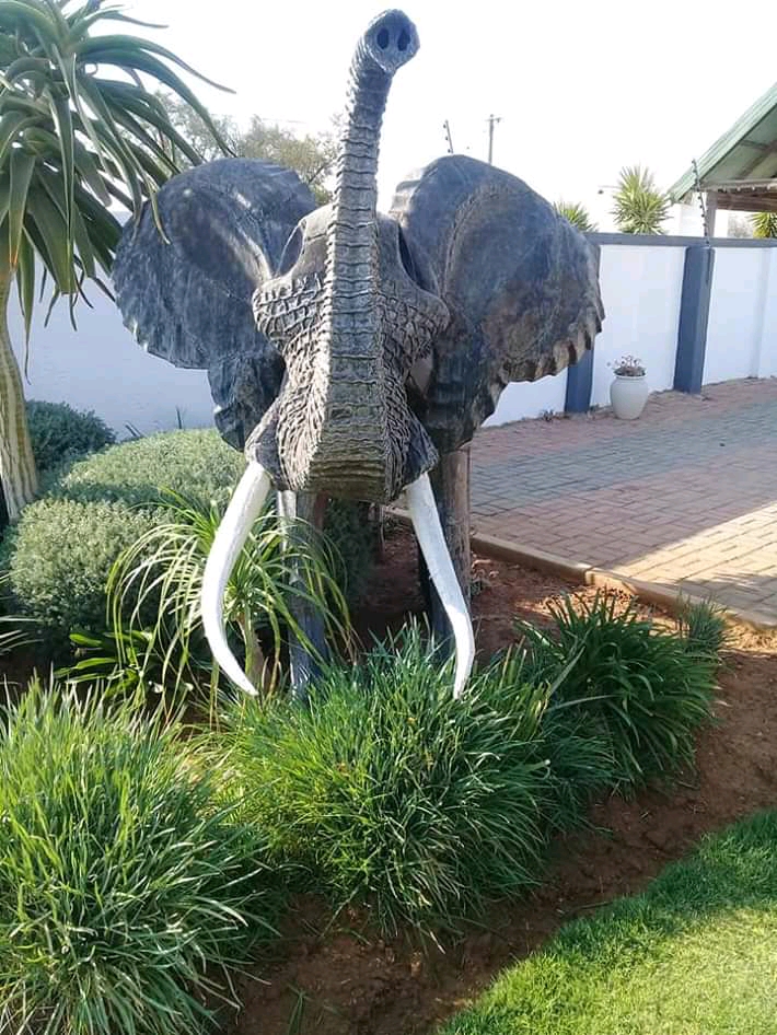Marang Gardens Lodge in Lichtenburg, South Africa