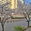 Mate Hotel Paju