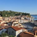 Max Piran
