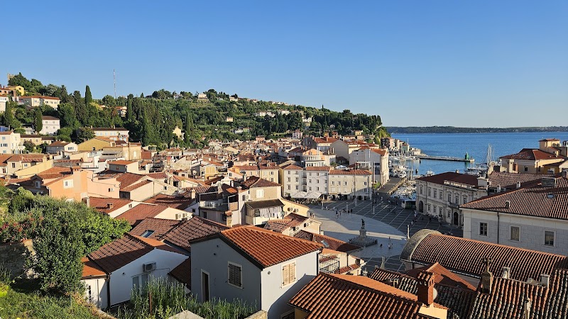 Max Piran in Piran, Slovenia