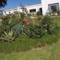 McBest Guest House