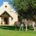 Mongena Game Lodge