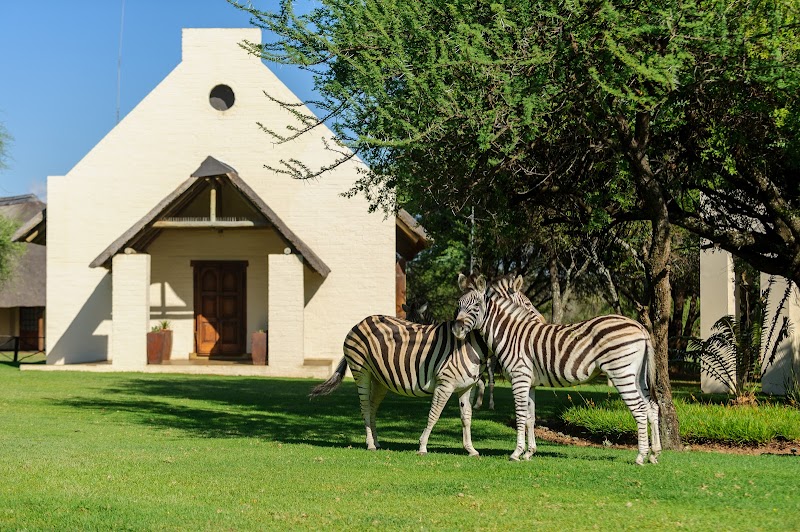 Mongena Game Lodge in Hammanskraal, South Africa