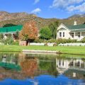 Montagu Vines
