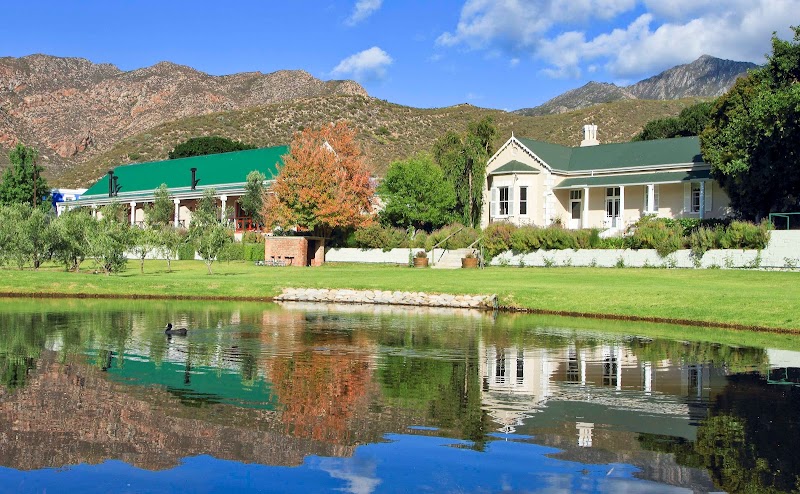 Montagu Vines in Montagu, South Africa