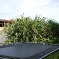 Mount View Motel