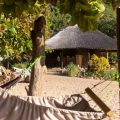 Mufasa Eco Lodge