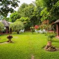 Nelly’s Guesthouse