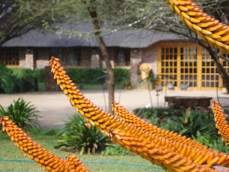 Noordbreeck Guesthouse in Louis Trichardt, South Africa