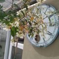 Oak Tree Bed and Breakfast