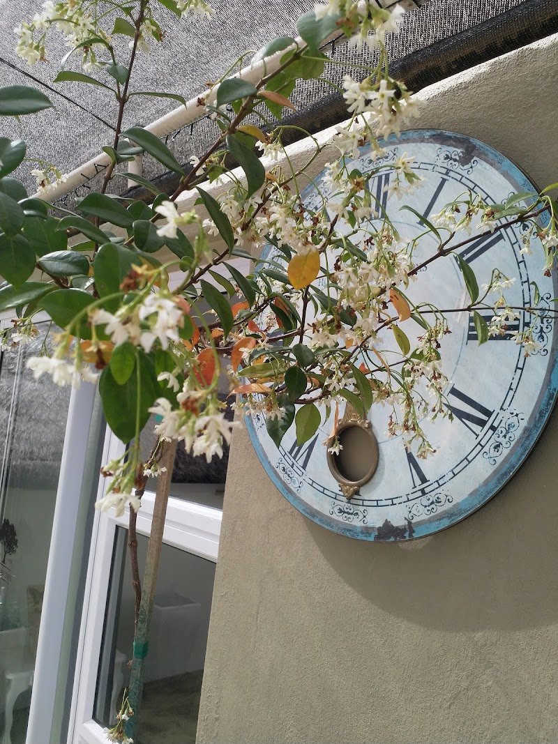 Oak Tree Bed and Breakfast in Queenstown, South Africa