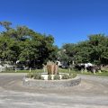 Olive Grove Guest Farm