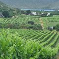 Orange Grove Farm