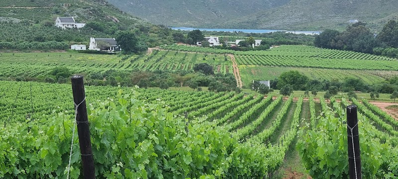 Orange Grove Farm in Robertson, South Africa