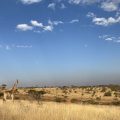 Orangia Game Lodge