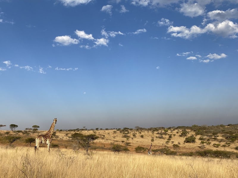 Orangia Game Lodge in Aliwal North, South Africa