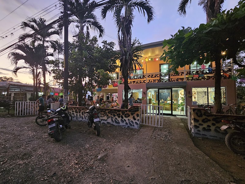 Osa Wild in Puerto Jimenez, Costa Rica