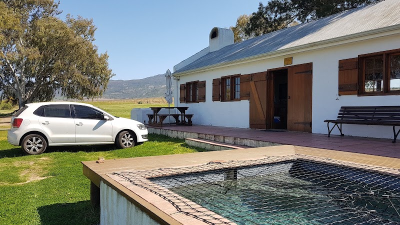 Oude Denneboom in Wellington, South Africa