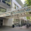 Palangos Vetra