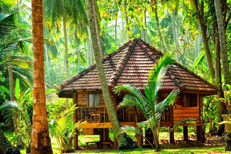 Palm Paradise Cabanas & Villas in Tangalla, Sri Lanka