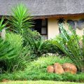 Palmwag Tzaneen Guesthouse